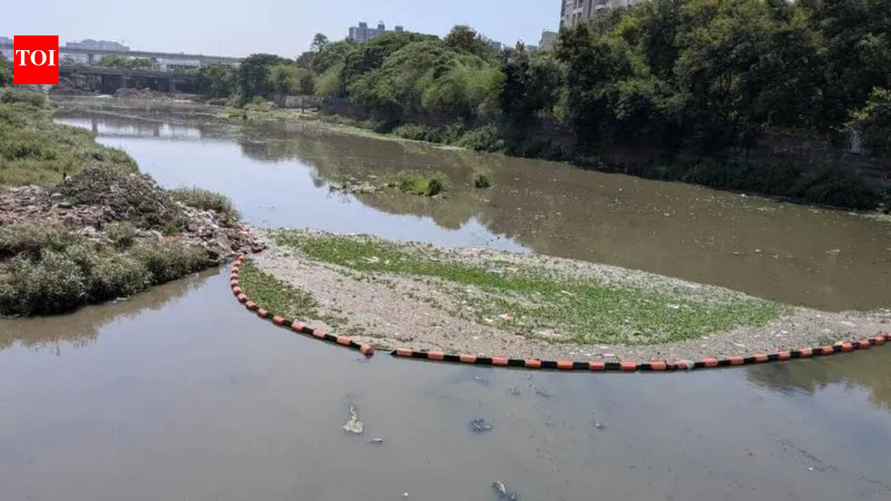 मुळा येथे महापालिकेच्या जलकुंभ सापळ्यांमुळे आमच्या पिण्याच्या पाण्याची नासाडी होत आहे, ग्रामपंचायतीचे म्हणणे